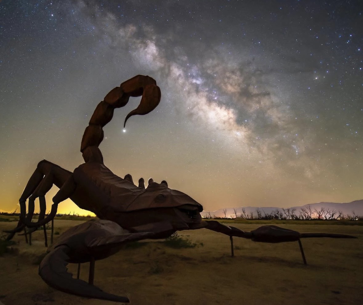 a statue of a scorpion in a field under a starry sky