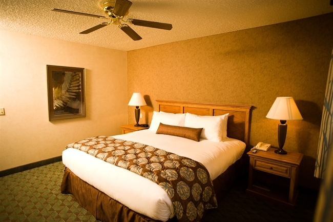 Luxury King Suite at our Borrego Springs Resort