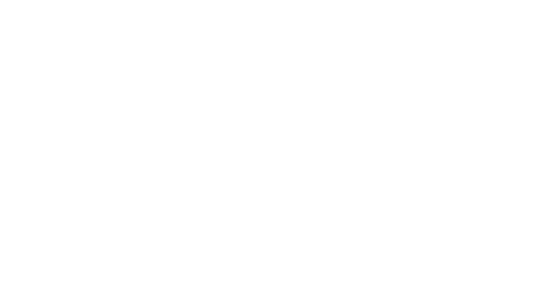 Borrego Springs Resort Logo